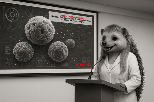 From Lab to Market: Recent Advances and Commercialisation of Organoid Technologies