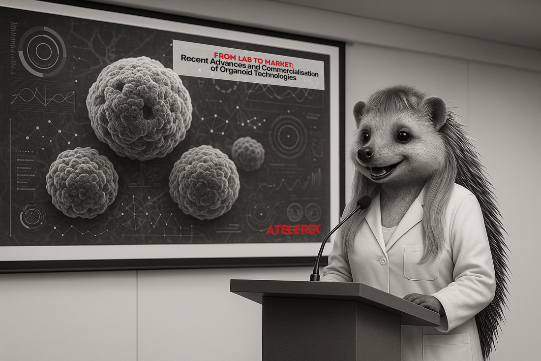 From Lab to Market: Recent Advances and Commercialisation of Organoid Technologies