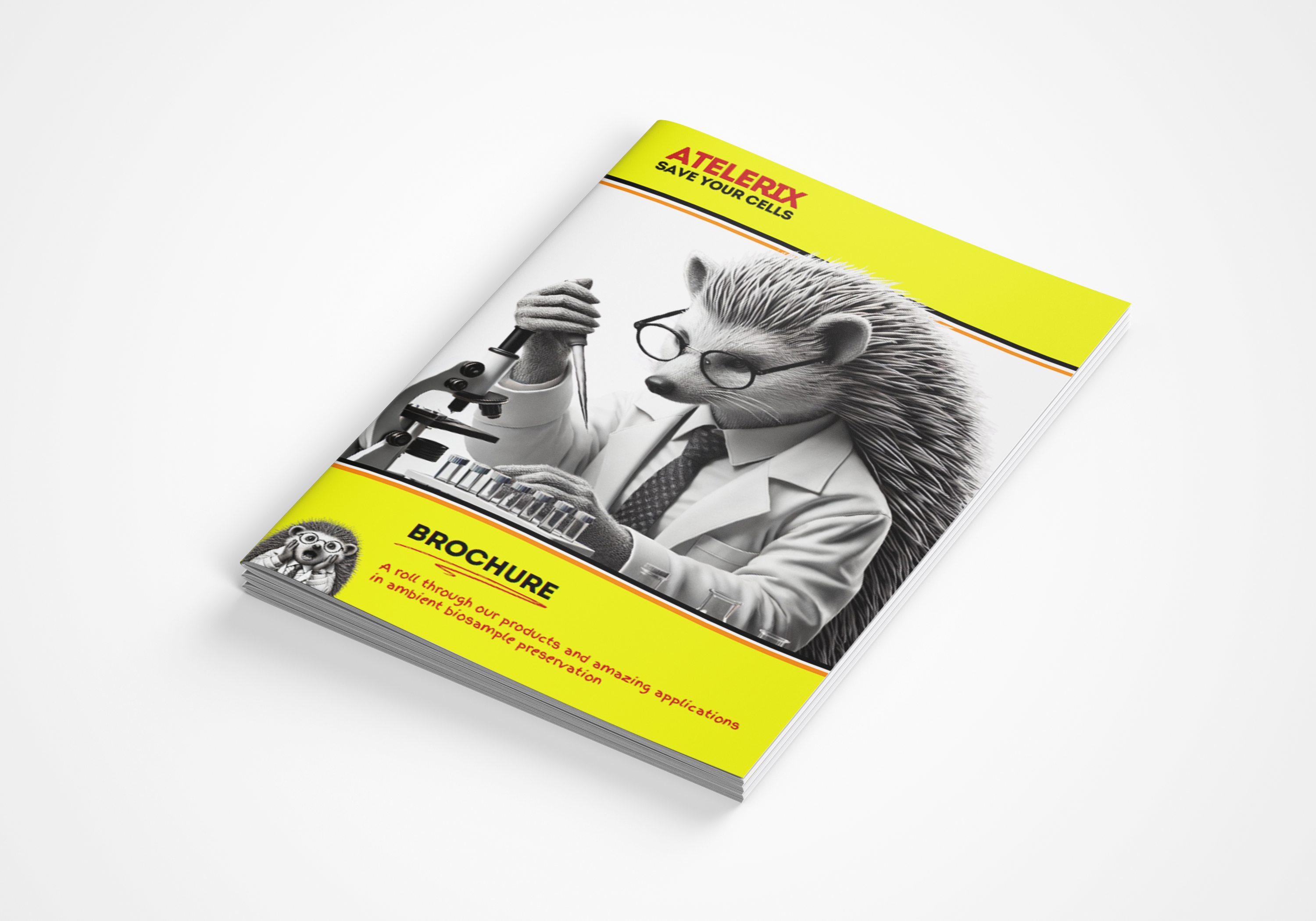 Atelerix's new brochure for 2024