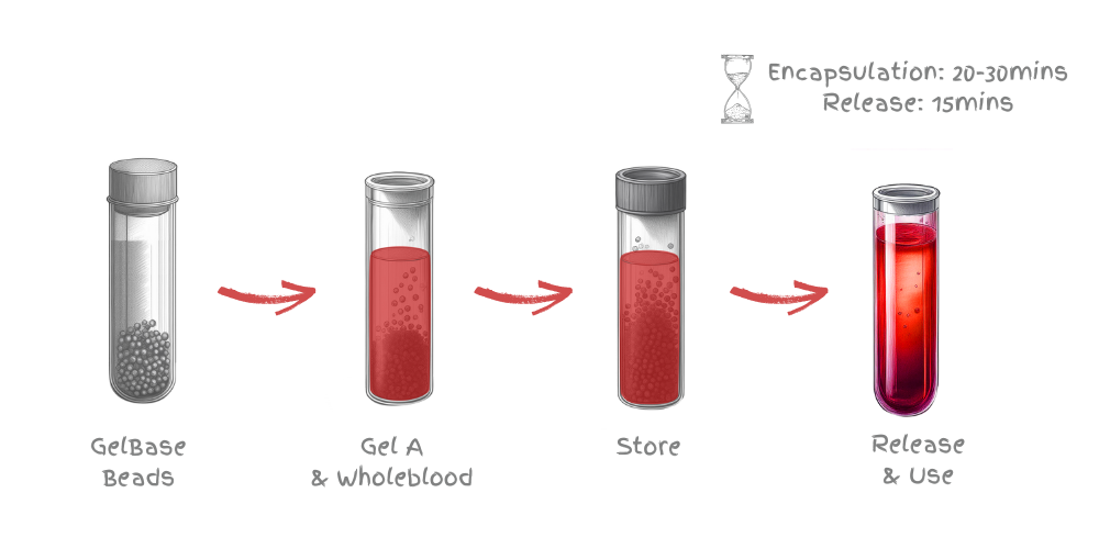 Atelerix Leukostor encapsulation process