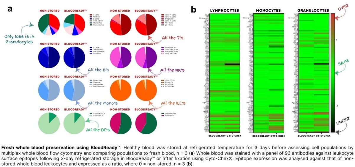 <a href=https://www.atelerix.co.uk/wp-content/uploads/2025/11/New-Figures-for-Website-BloodReady-1200x565.jpg>View larger image</a>