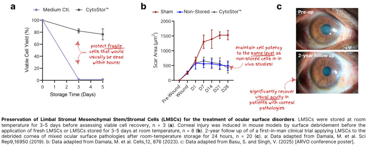 <a href=https://www.atelerix.co.uk/wp-content/uploads/2025/11/New-Figures-for-Website-CytoStor-3-1200x475.jpg>View larger image</a> <a href=https://www.atelerix.co.uk/wp-content/uploads/2025/11/New-Figures-for-Website-CytoStor-3-1200x475.jpg>View larger image</a>