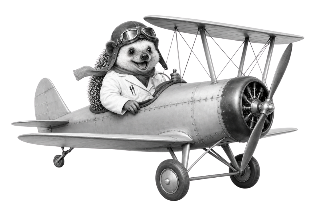 atelerix hedgehog biplane route final