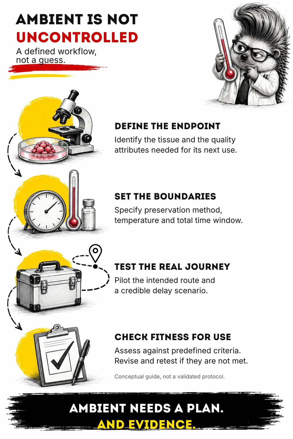 Four-step illustrated guide: define the tissue and endpoint, specify preservation boundaries, pilot the route and realistic delay, then assess fitness for use against predefined criteria.